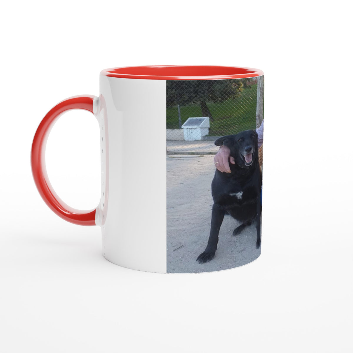 Taza manolo - Custom Dreams