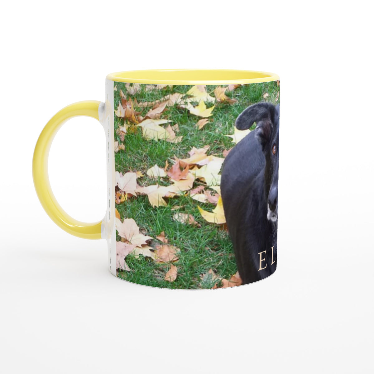 Taza Manolo 3 - Custom Dreams