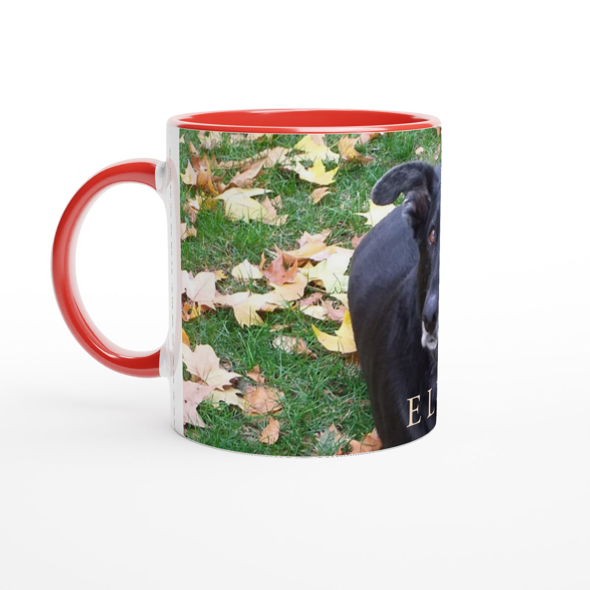 Taza Manolo 3 - Custom Dreams
