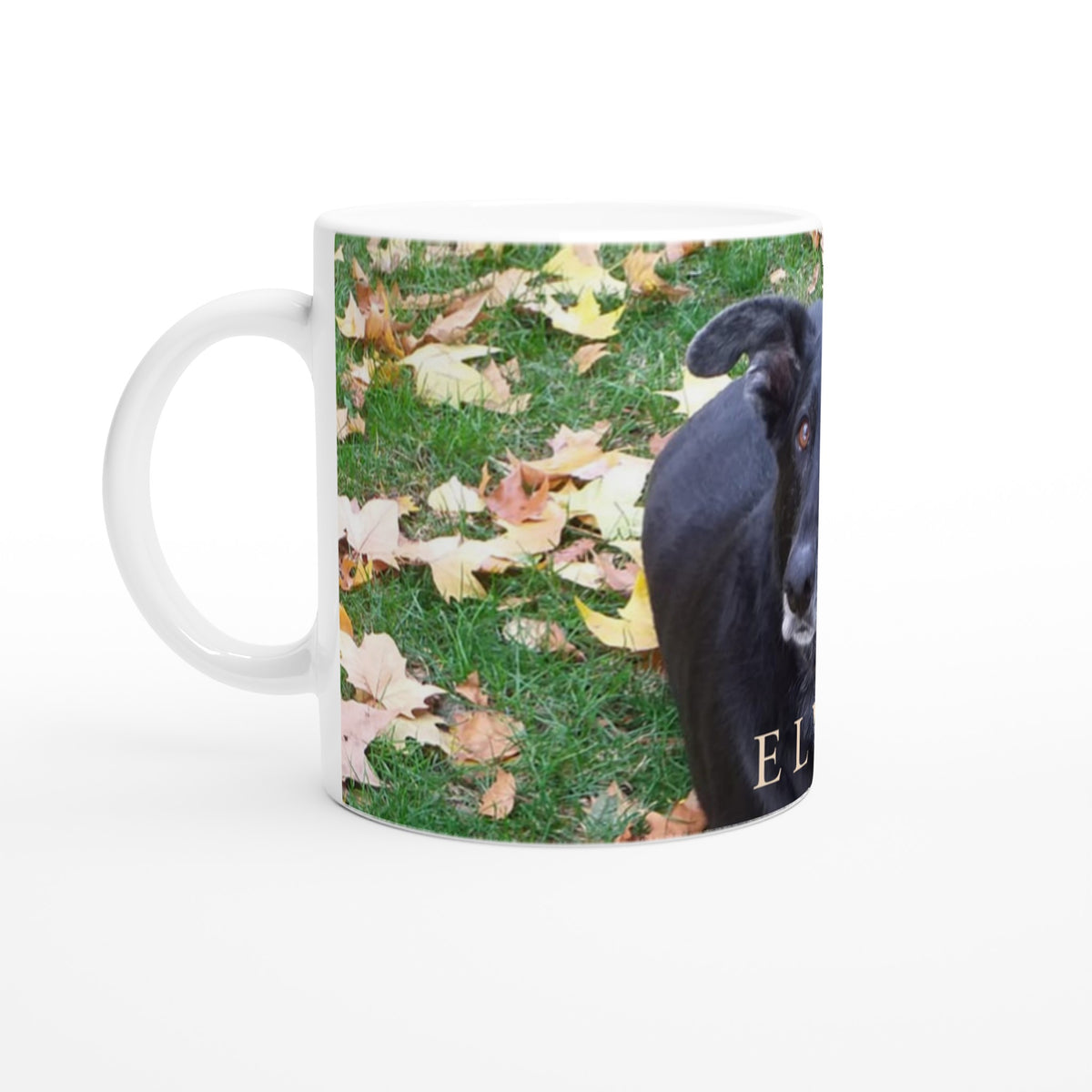Taza Manolo 3 - Custom Dreams