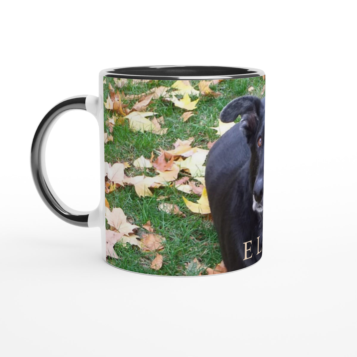 Taza Manolo 3 - Custom Dreams